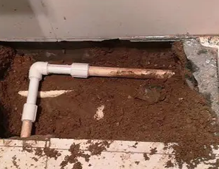 振安测漏水哪家好