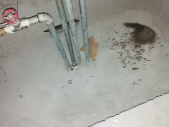 振安卫生间测漏水价格明细