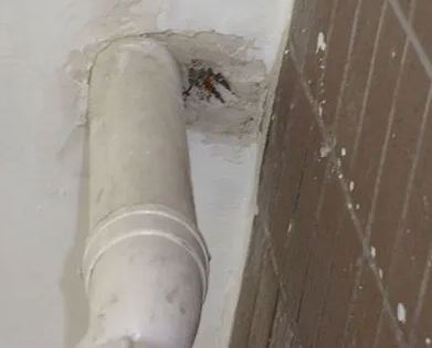 振安漏水检测哪家好